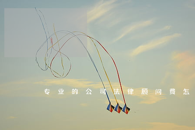 公司聘請專業(yè)法律顧問的費(fèi)用計(jì)算與法律事務(wù)代理指南